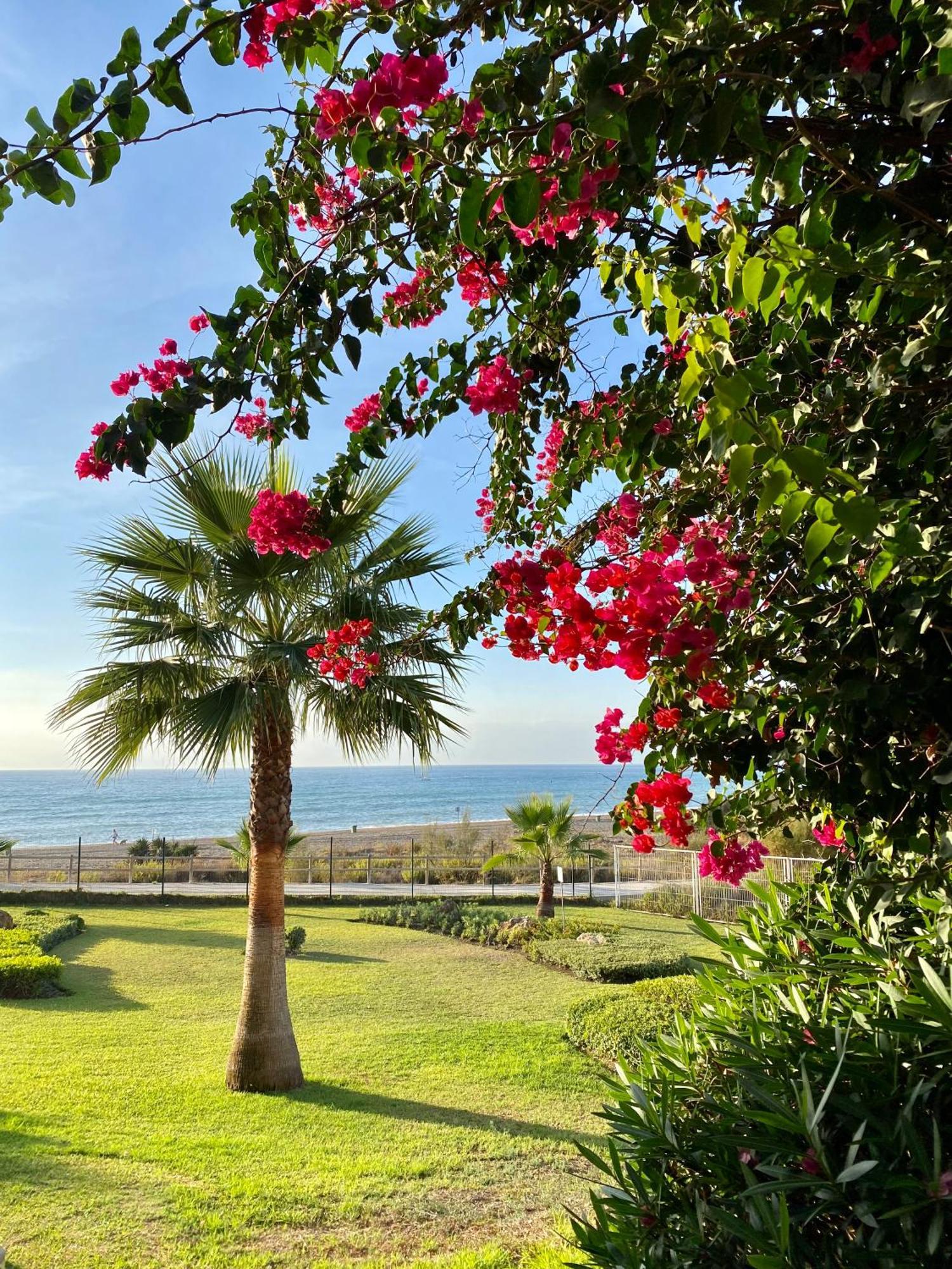 Sunshine Beach Front Complex, Wifi, Modern Casares Kültér fotó